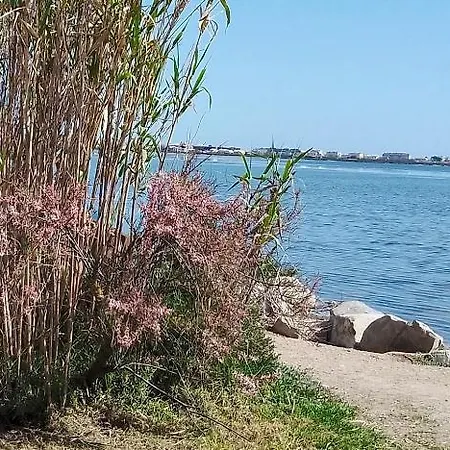 Le Lac Des Reves Kemping Lattes